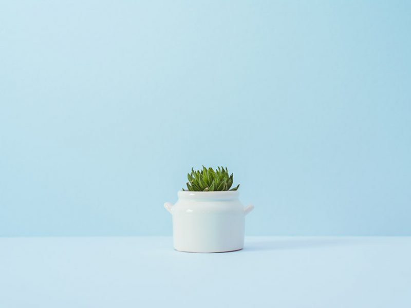 Best practices for minimalist design with example